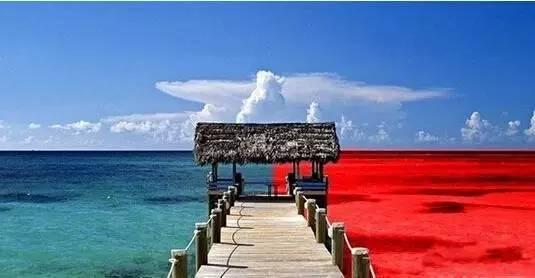 火鍋紅海里還能怎么深扒藍(lán)海區(qū)域？|餐飲界