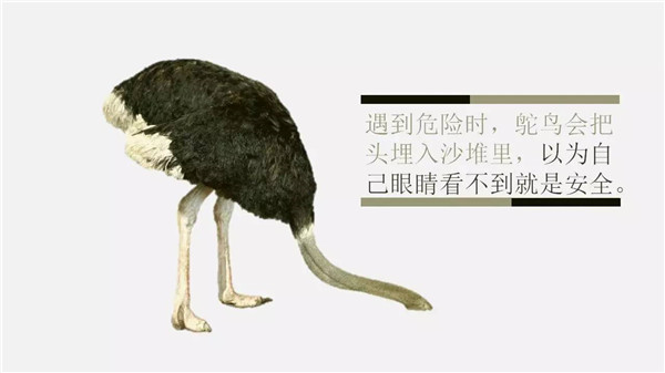 這6個詞，你誤解了任何一個，都能讓你錯過“風(fēng)口”