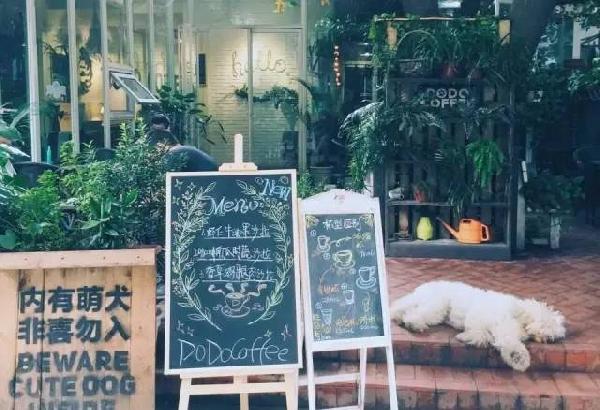 如何開家能賺錢的咖啡館？過來人是這樣算帳的...|餐飲界