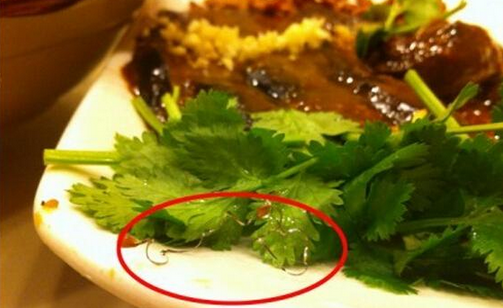 食客在餐廳吃到鋼絲，餐廳被判賠償食客206萬，并罰款686萬
