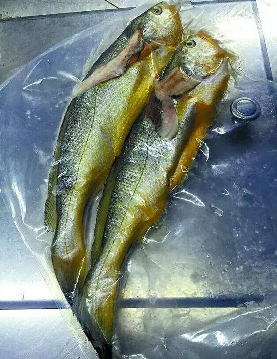 兩條小黃魚賣4628元：沒有菜牌，也沒有價格公示