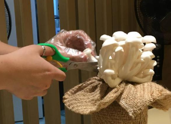 餐飲三巨頭的“爆品”玄機(jī)，其實(shí)就是4個(gè)字|餐飲界