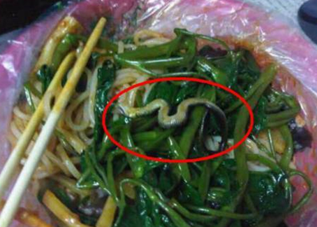 震驚！廣西大學(xué)一螺螄粉店竟然吃出一條蛇！真相是？