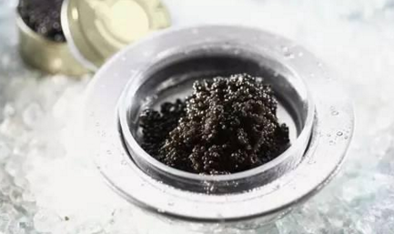 魚子醬到底有多少種？餐飲人快來辨別一下