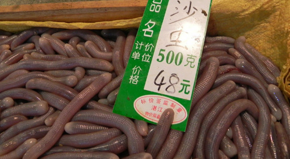 ?？谝徊蛷d沙蟲被食客質(zhì)疑不干凈 食藥監(jiān)：沒毛病