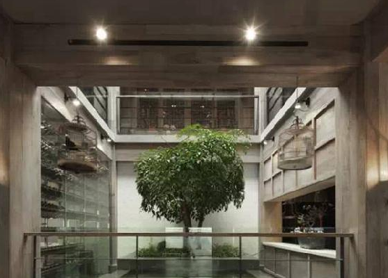 餐廳運(yùn)用上這些植物裝飾，格調(diào)空間立馬不同