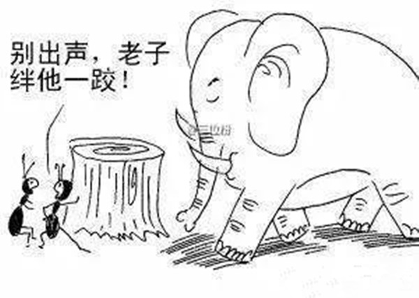 火鍋老板必看：與巴奴共舞的3個(gè)戰(zhàn)略機(jī)會(huì)！