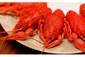 2017美食消費(fèi)報(bào)告：90后成消費(fèi)主體、消費(fèi)者最愛小龍蝦、6成消費(fèi)者習(xí)慣吃宵夜|餐飲界