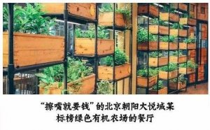 但凡說紙巾要2元的餐廳，我不會去第二次！|餐飲界