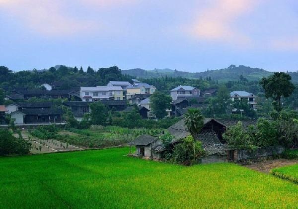 城市水太深，回鄉(xiāng)開餐廳？看完這篇你再做決定……