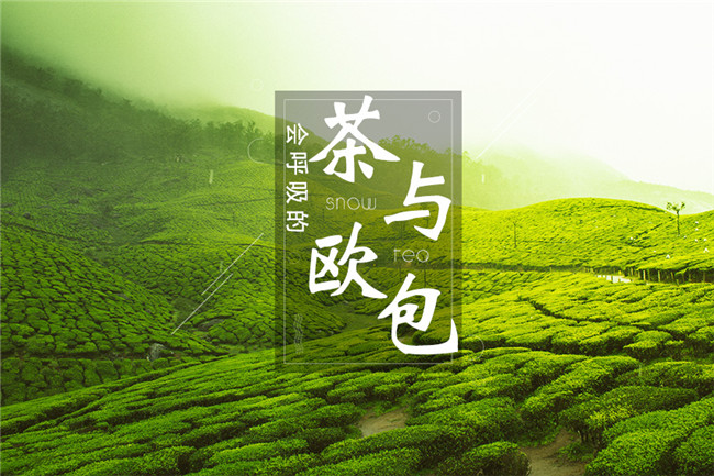 9個(gè)月開(kāi)600家店，漫雪的茶憑啥攻占全國(guó)市場(chǎng)？|餐飲界