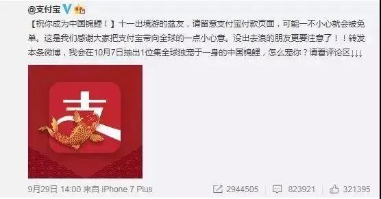 “錦鯉”火了，為什么我不建議跟風(fēng)蹭這個(gè)大熱點(diǎn)？