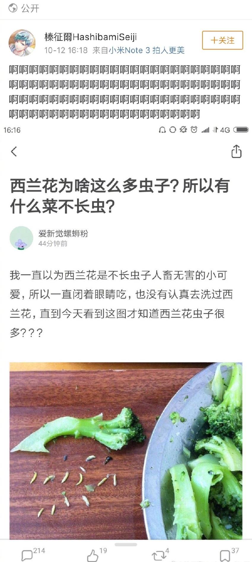 如何去掉西蘭花上的蟲子？99％的人不會(huì)處理啊