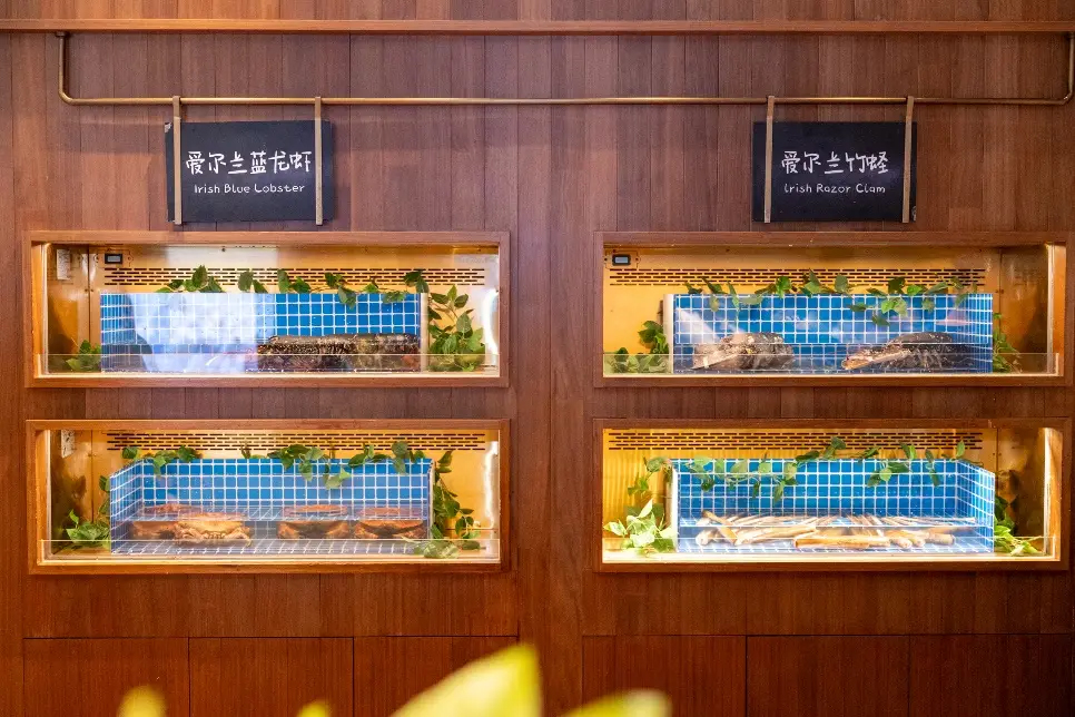 愛爾蘭農(nóng)業(yè)、食品及海事部部長帶團訪華并走訪上海的“愛爾蘭海鮮集市”