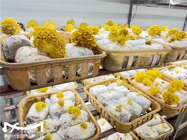 沸點(diǎn)計(jì)劃發(fā)布“山海供應(yīng)鏈”戰(zhàn)略：投建十大生態(tài)基地，護(hù)航萬店擴(kuò)張